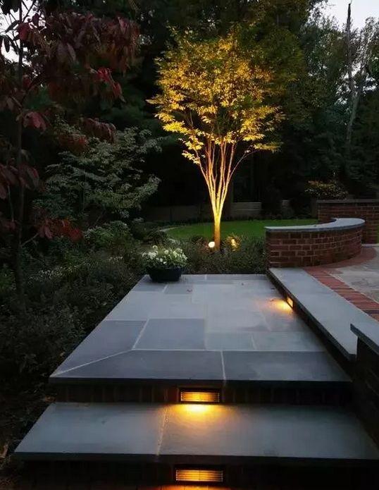 植物照明：点亮植物生长的隐形引擎