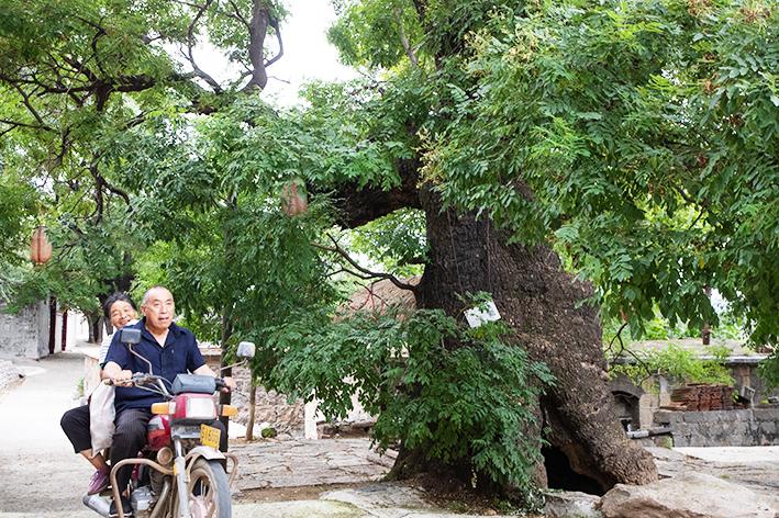 光影的褶皱里藏着时间的指纹