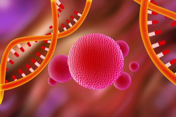 生命的种子：干细胞的奇妙旅程