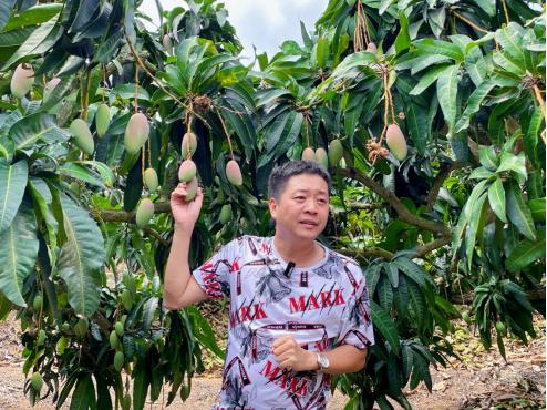 从滞销的芒果到流动的生鲜：一场供应链的逆袭之旅