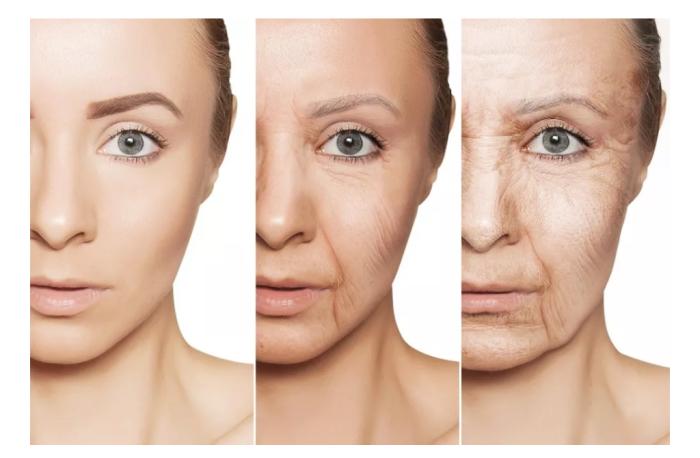 时光褶皱里的温柔对抗