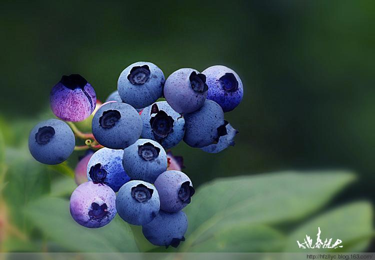 草木生长时，身体正与世界温柔相拥