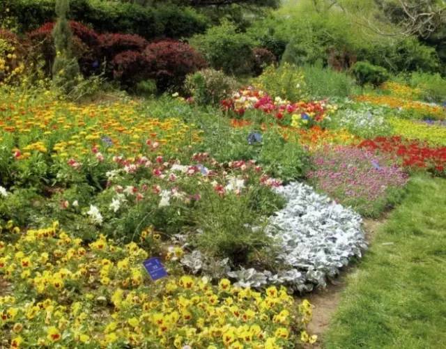 泥土里藏着的魔法：那些关于园艺的细碎美好