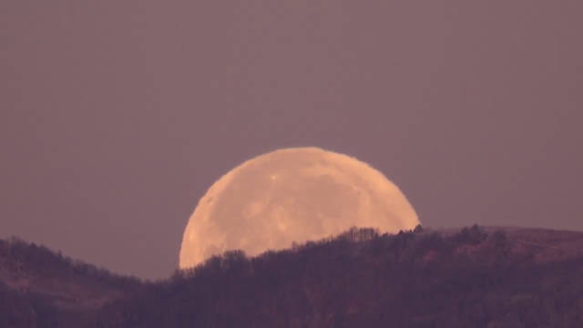 滤镜：当代人最后的体面防线