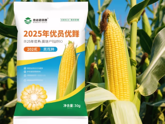 最高产的玉米种子