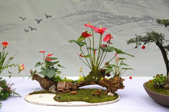 盆栽：指尖上的山水，案头的光阴