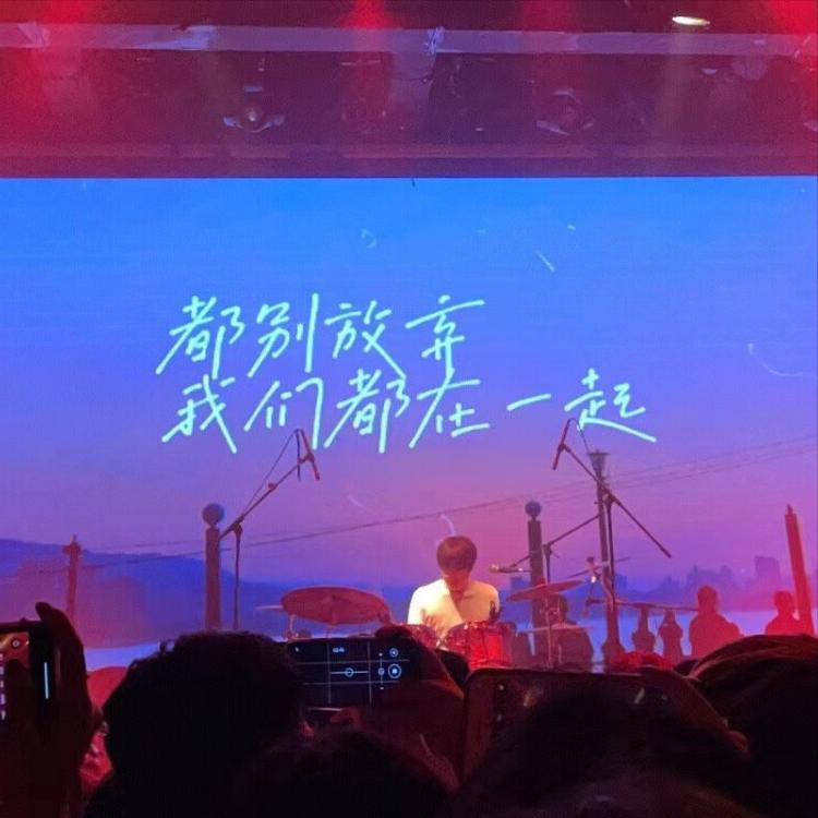 霓虹与合唱:一场演唱会的滚烫记忆