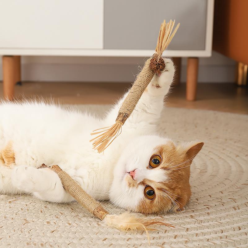 从绒毛到芯片：宠物用品里藏着的爱与智慧