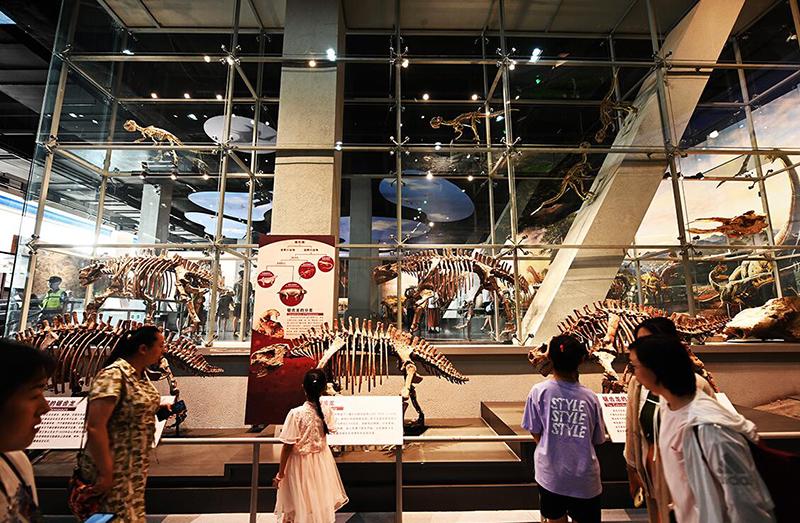 博物馆常见问题解答