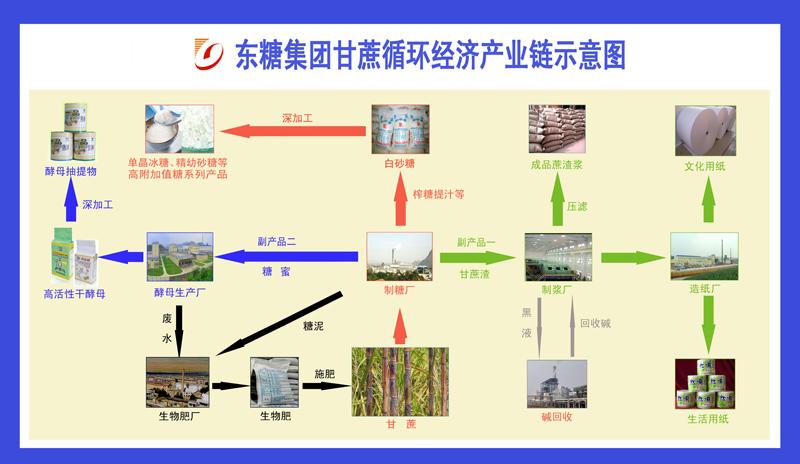 循环经济：在资源流转中编织可持续的生活图景