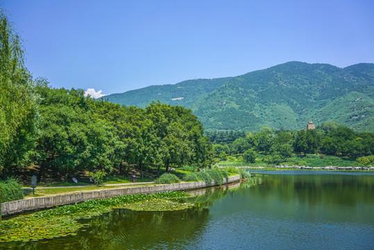 那片绿水青山，藏着我们与碳中和的温柔约定