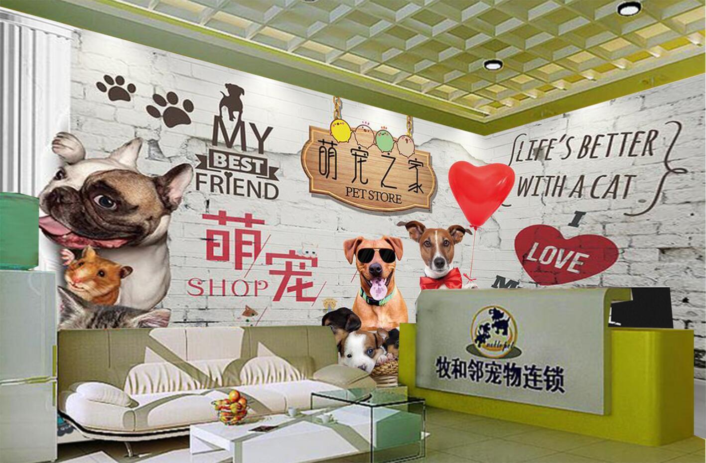 剪刀下的温柔：那些藏在宠物美容店里的暖心故事