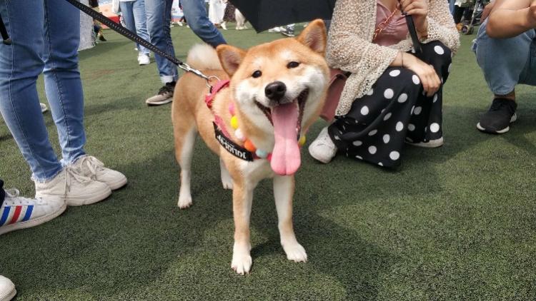 一场热闹活动背后的那些事儿