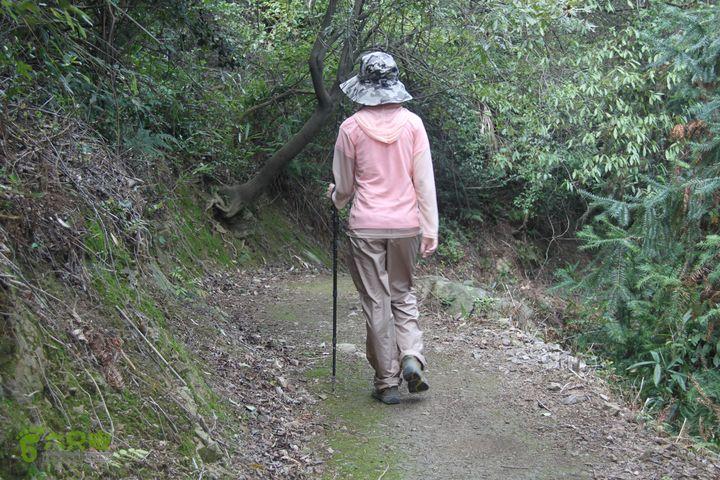 步履所至皆学问：在旅途褶皱里打捞生活的另一种可能