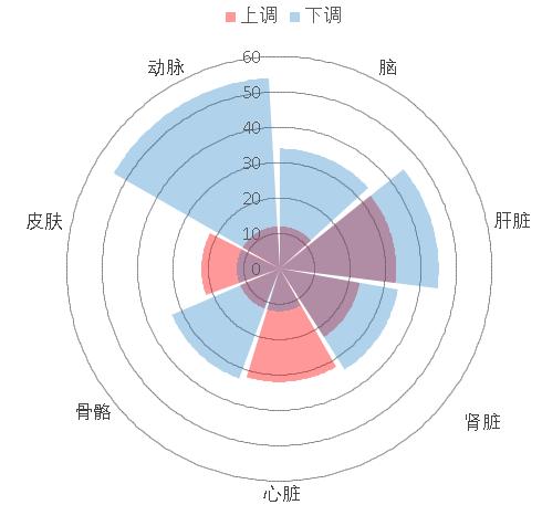 Excel:藏在格子里的数字魔法师