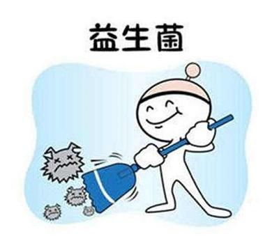 健康生活的多元维度与实践路径