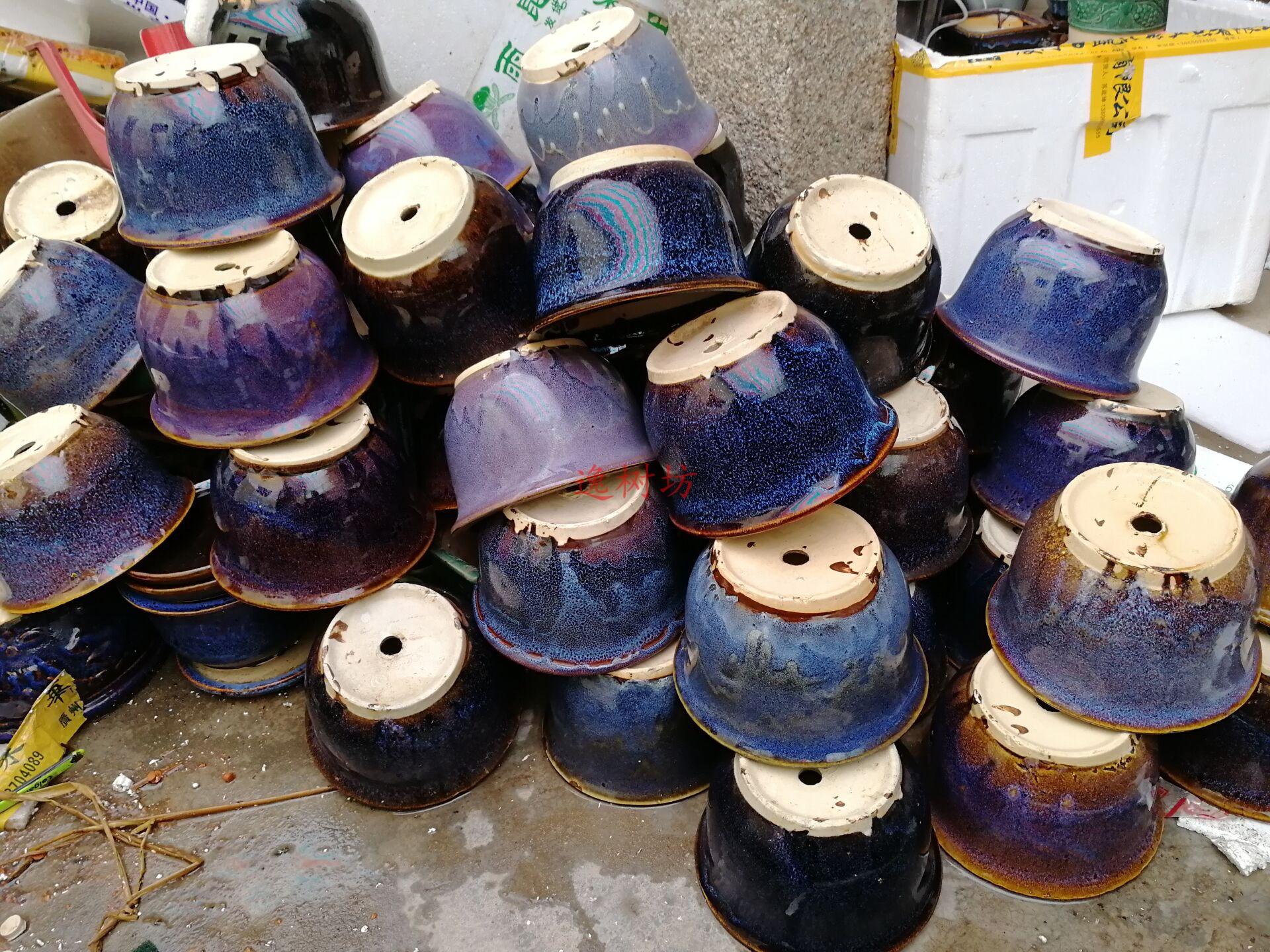 老瓦盆里的四季光阴