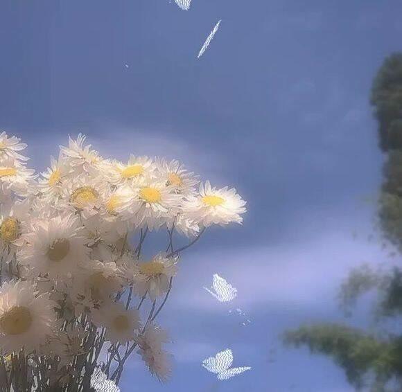 笔尖的魔法:解锁文案打动人心的密码