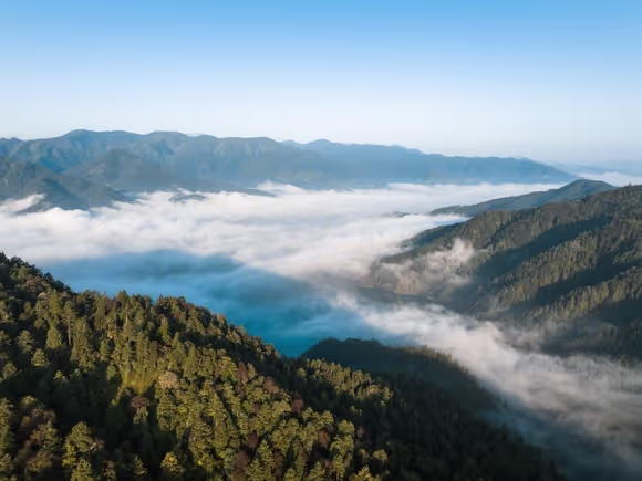 瓦屋山上面有什么景点
