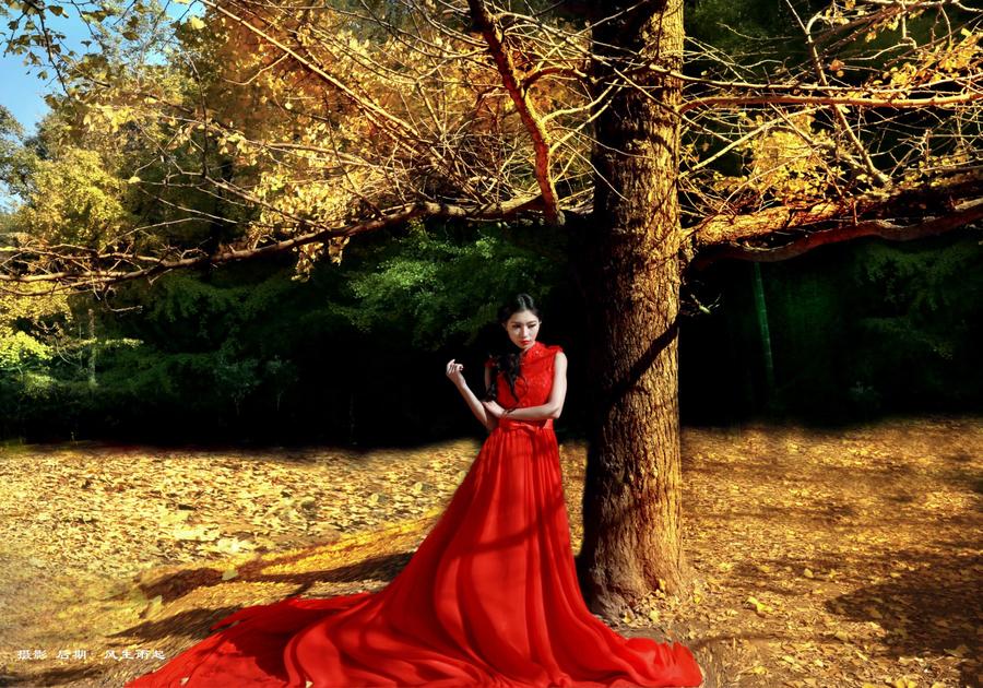 那片银杏树下的节能故事