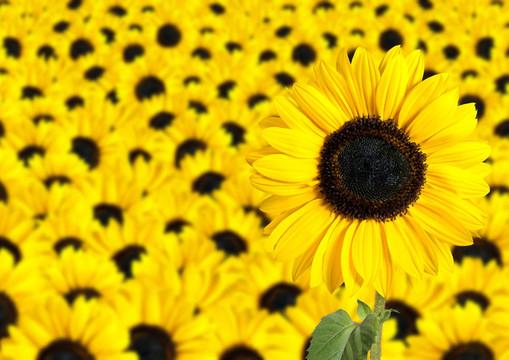 模糊世界里的斑斓印记