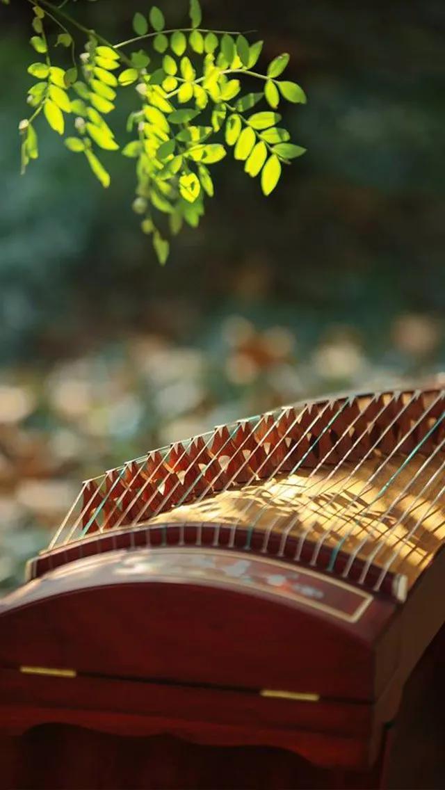 弦上的千年月光：古筝里藏着的光阴故事