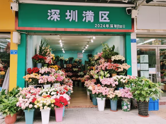 深圳 龙岗 花店
