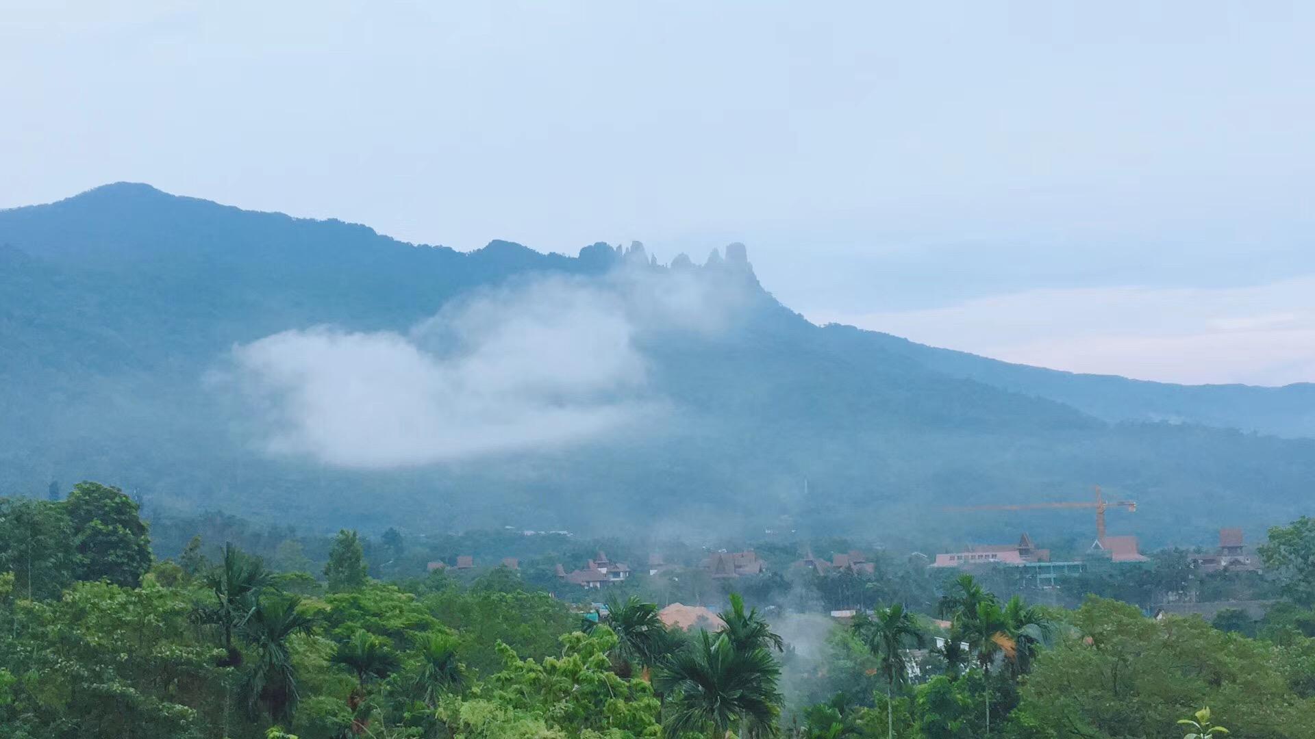 雨林深处的约定：生物多样守护记