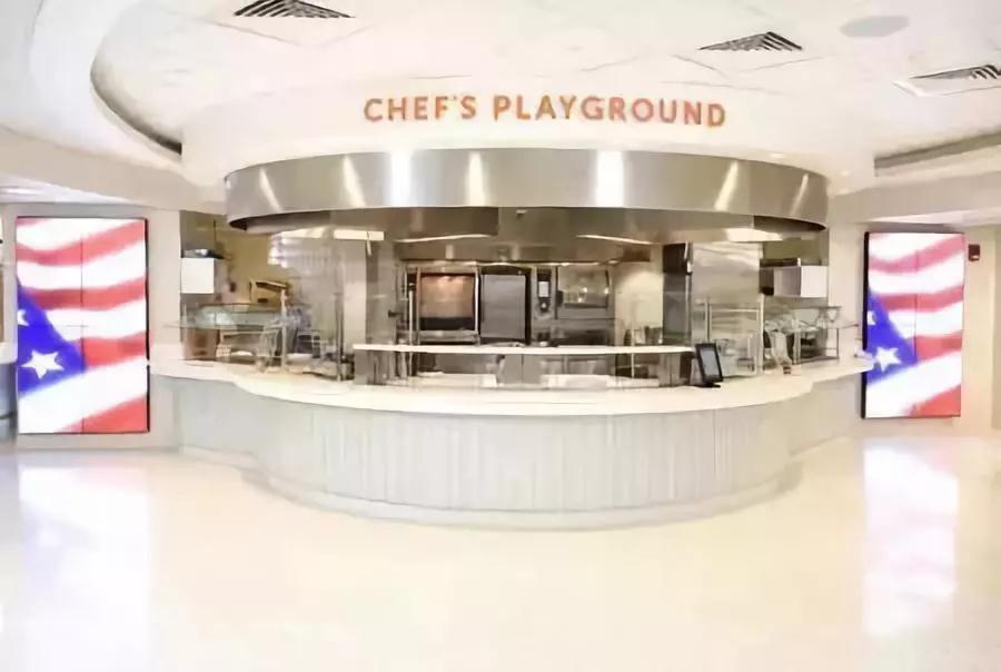 生命的奇妙种子：干细胞里的生命密码