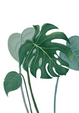 阳光织锦：当光束在叶脉间绣出年轮