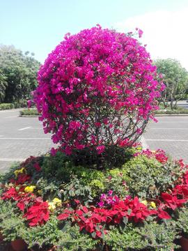 园艺里的光阴故事