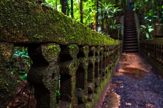 青苔漫过的石阶