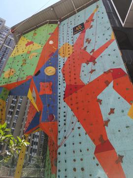 岩壁上的舞蹈：抓握、平衡与心跳的狂欢