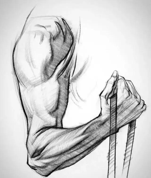 铅笔与时光的絮语：素描里的万千世界