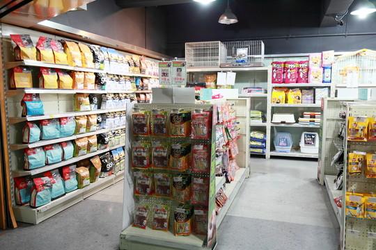 当毛孩子成了 “金主”：宠物经济里的那些哭笑不得事