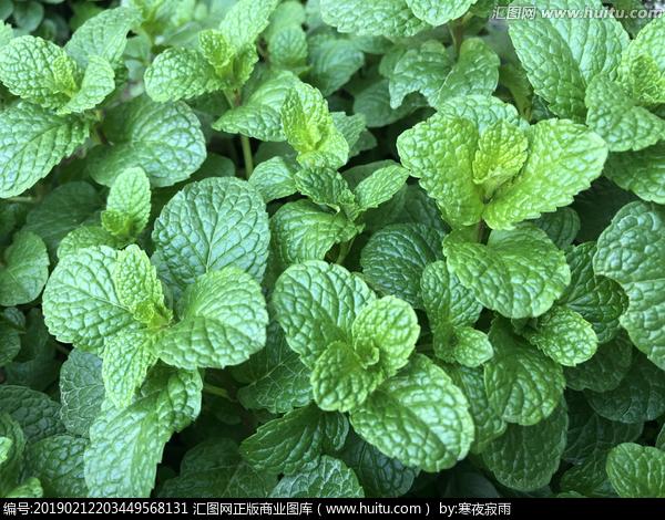 镜头后的凝视：光影编织的时光褶皱