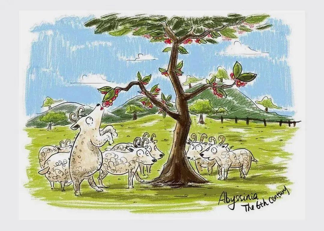 咖啡文化科普:你想知道的都在这里