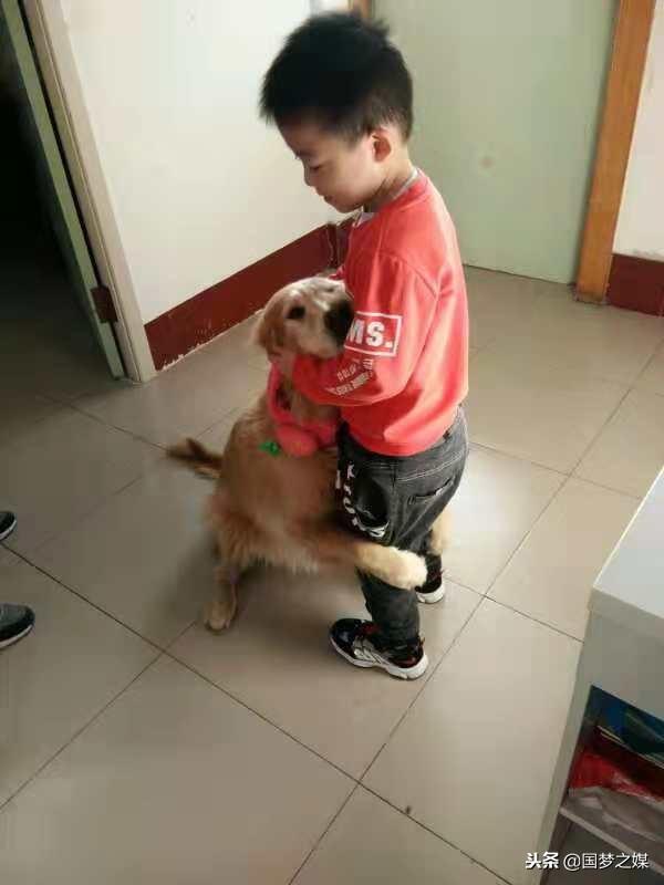 毛孩子的温度：藏在生活褶皱里的亲密关系