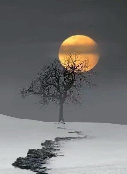 风动发梢时，我们都在与光阴共舞