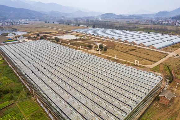 科技赋能下的农业新图景：从田垄到云端的变革之路