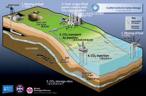 碳捕捉与生物降解双驱动:环保科技重构生态平衡新路径