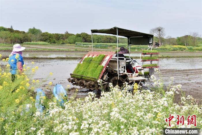 绿意漫过刻度时