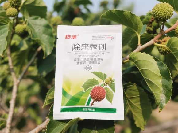 除构树用什么药好