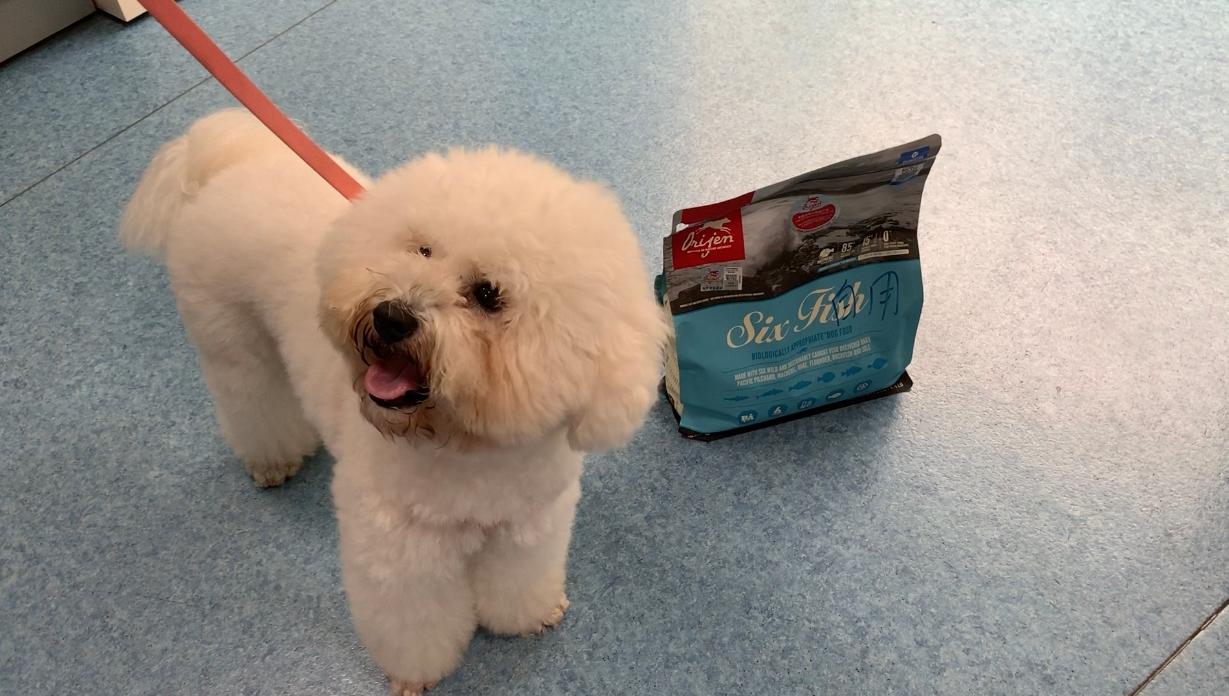 犬粮里的晨昏与四季