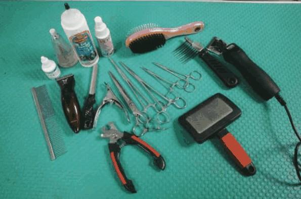 宠物美容常见问题解答