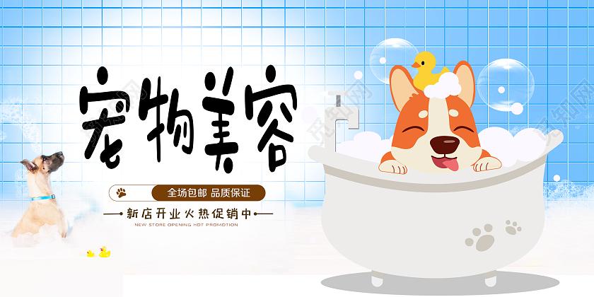 梳齿轻吟，为毛团缀满星辰 —— 宠物美容里的温柔诗学