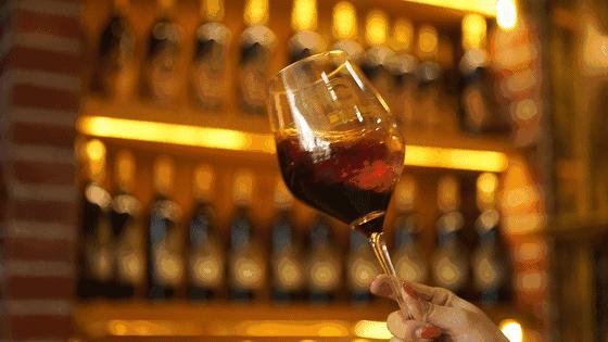 杯中时光：红酒品鉴的艺术与奥秘