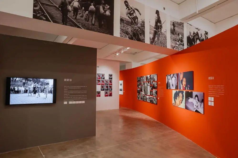 光影织就的共生场：当代艺术展览的多维叙事