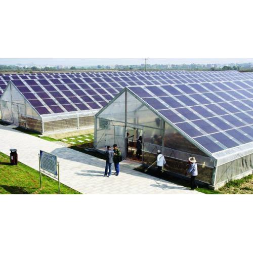 光伏之光：在能源变革中书写的绿色传奇