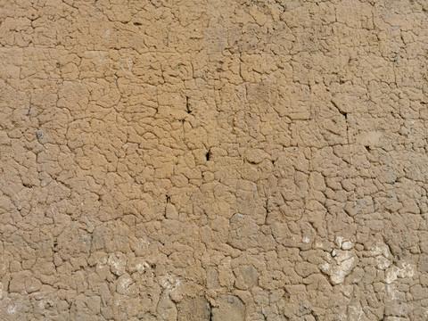 那些站立的时光，藏着我们未说尽的话